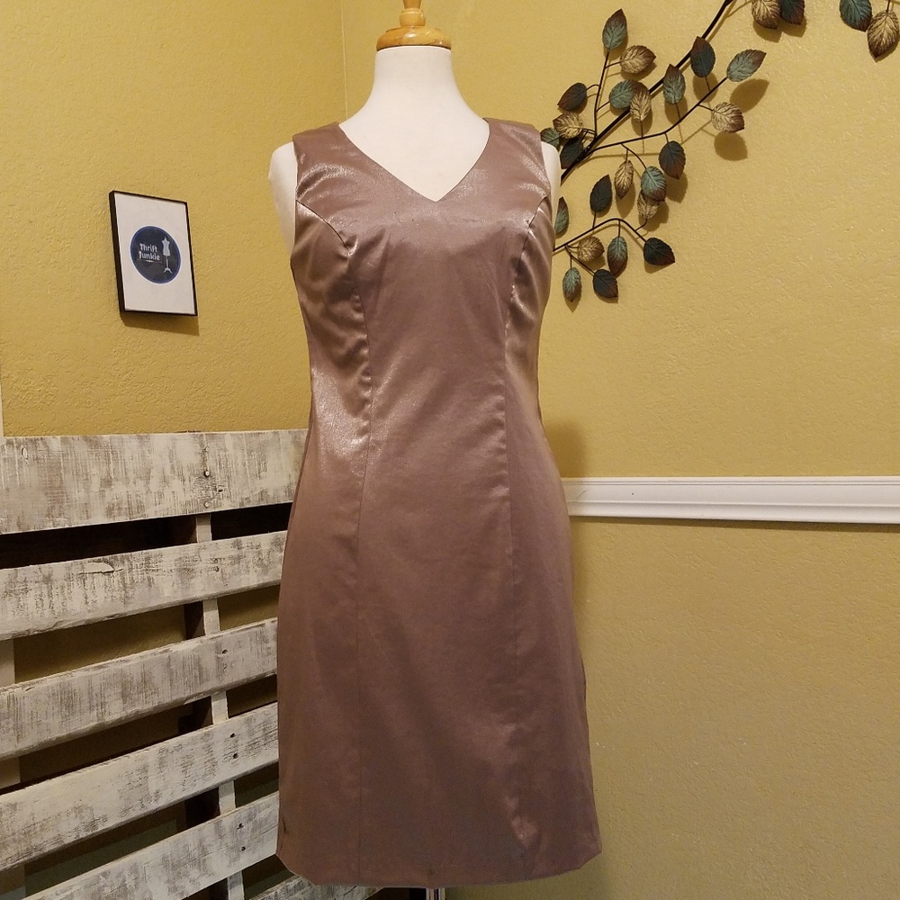 Roulette Champagne Pink Shimmer Dress size 4
